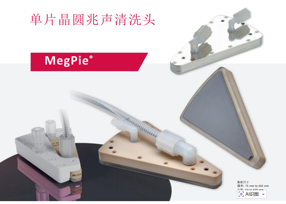 兆声清洗头